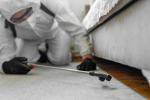 Professional Bed Bug Control technician working in Kiowa County County, OK